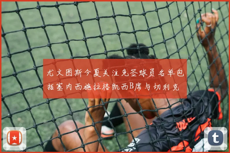 尤文图斯今夏关注免签球员名单包括塞内西施拉格凯西B席与切利克